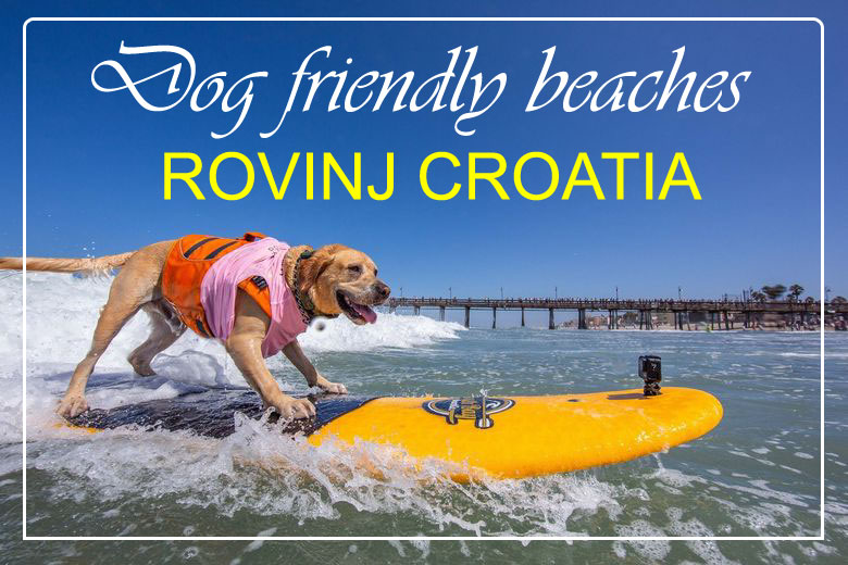 Dog-friendly-beaches-in-Rovinj_Croatia